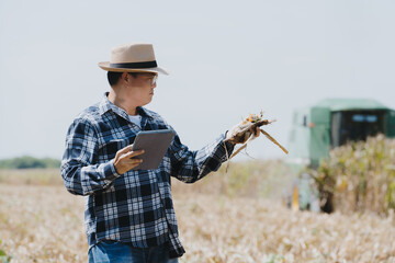 The owner of the corn field is analyzing the harvested corn.