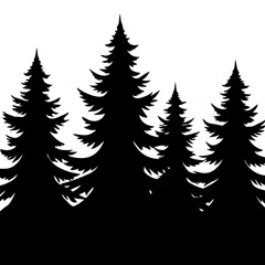 Obraz premium Black silhouettes of fir trees growing in forest