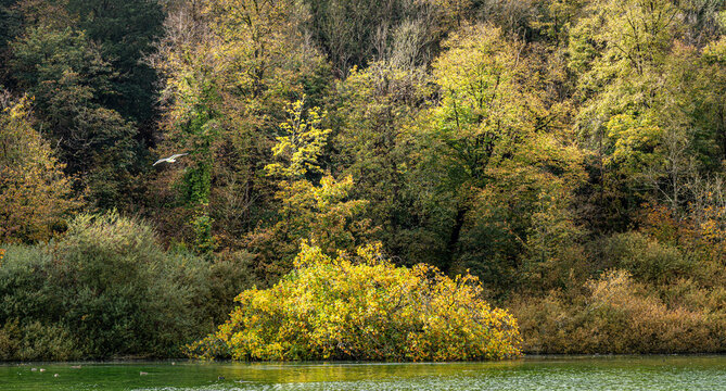Swanbourne Lake, West Sussex with beautiful autumn colours in the surrounding woodland.