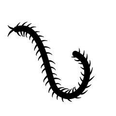 Centipede silhouettes vector