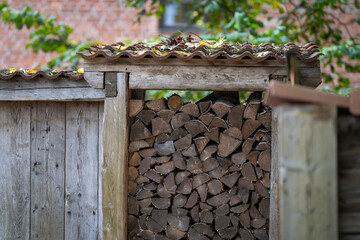 Texture of firewood and wooden wall. Firewood background. Different types of wood textures background. Surface of wood texture. 