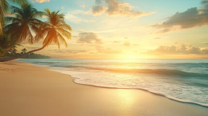 A stunning sunset over a calm ocean with a palm tree in the foreground.