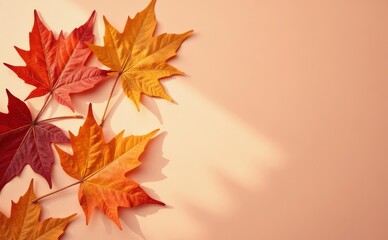 Autumn Season maple leaf background on autumn season red and orange maple leaf falling down, A yellow and orange leaf 