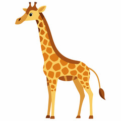 A giraffe with its long neck stretched upwards towards the sky on a white background.