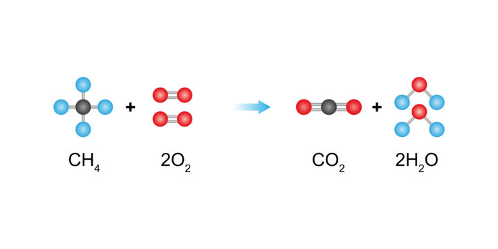 Complete Combustion Scientific Design. Vector Illustration.
