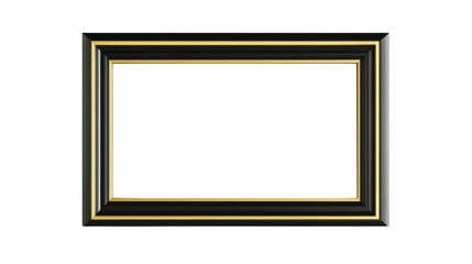 Gold and Black Picture Frame with Mat