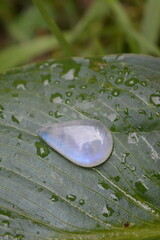 Moonstone gem on green background 