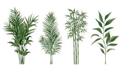 Green Plants Collection.