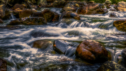 Smooth long exposure rapids in Colorado forest