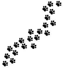 Paw print dog and cat Vector. footprint dog icon. Paw icon vector illustration. 
