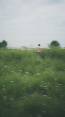 Summer landscape grassland outdoors.