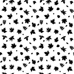 Fototapeta premium Black and white seamless pattern with silhouettes of little various leaves on a white background. An elegant natural design that is great for wallpaper, fabric, backgrounds and decorative projects. 