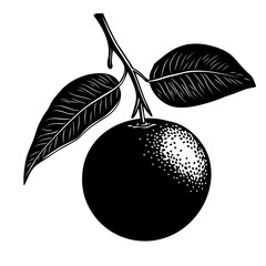  black and white silhouette of a orange on white background