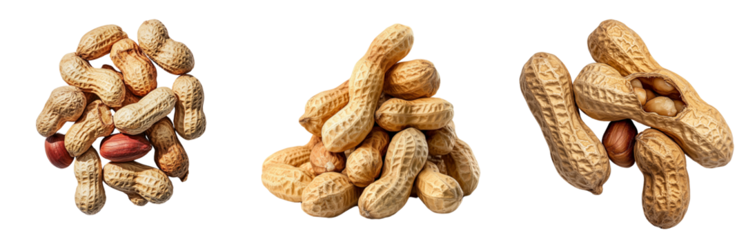 Close-up of assorted peanut isolators in the background
