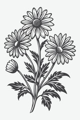 Daisy Branch with Flowers Silhouette Vector Illustration of Botanical Design with Elegant Floral Elements