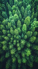 A breathtaking aerial view of a dense green forest, showcasing the beauty and diversity of nature from above, with lush greenery extending as far as the eye can see.
