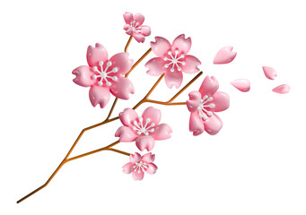 3D pink cherry blossom flower sakura branch vector isolated illustration