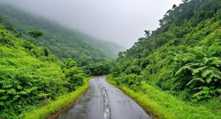 beautiful landscape of nature