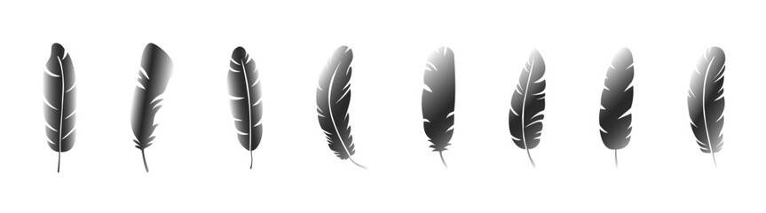 Vector Feathers Set. Black quill feather silhouette. Various feathers.