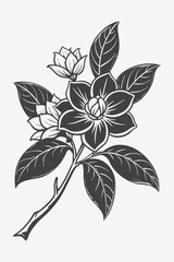 Gardenia Branch with Flowers Silhouette Vector Art Design for Floral and Nature Illustrations