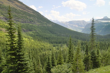 Siyeh bend from the Siyeh Pass Trail at Glacier national park, Montana, USA.