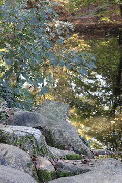 Placid lake
