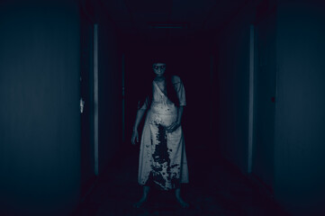 Portrait of asian woman make up pregnant ghost.,Scary horror scene for background,Halloween festival concept,Ghost movies poster