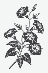 Morning Glory Branch with Beautiful Flowers Silhouette Vector Art for Stunning Design Projects