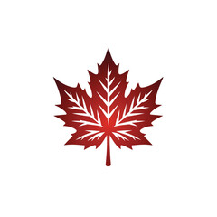 Maple leaf autumn vector illustration