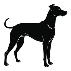 create a dog silhouette vector with white background