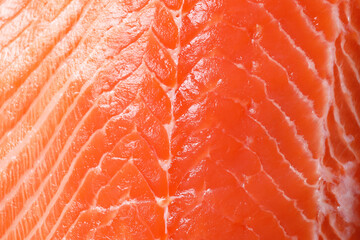 Fresh salmon as background, closeup. Sea food