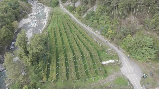 Rzeka Sarca, prowincje Dro - Dron DLog 