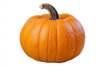 a side of a pumpkin set on isolated white background no shadow 