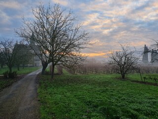 Fototapeta premium Levé de soleil dans la nature