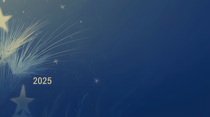 Midnight Whisker Countdown: “2025”. 2025 . A close-up of a cat’s whiskers against a starry background, symbolizing the anticipation of the New Year. Copy space for countdown messages. 