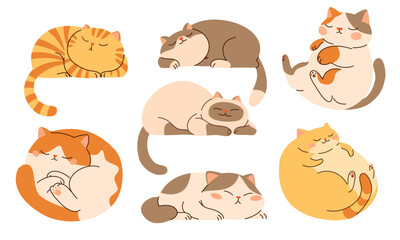 Set of flat vector illustrations in children's style. Cute sleeping cats on white background . Vector illustration