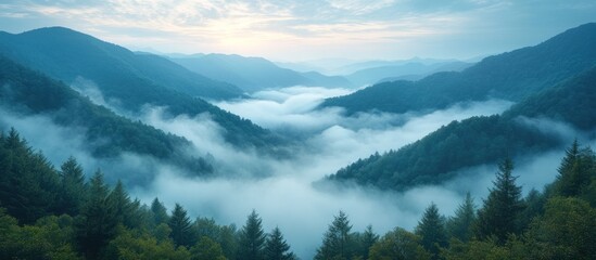 Serene mountain landscape with mist and trees at dawn.