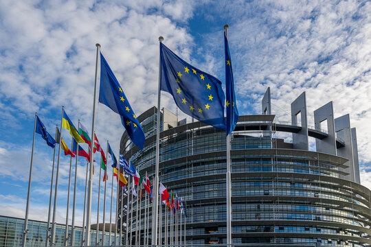 Das Foto zeigt die Flaggen der Europ&auml;ischen Union und mehrerer EU-Mitgliedsstaaten sowie der Ukraine vor dem Europ&auml;ischen Parlament in Stra&szlig;burg.