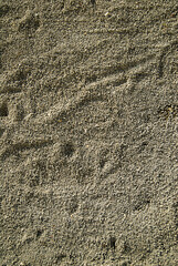tire tracks in sand
