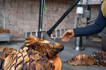 Preparando el agave en la fabrica de tequila.