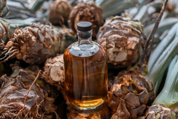 La botella de tequila está al lado de plantas de agave en la fabrica.	