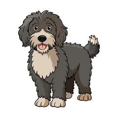 Barbet dog breed vector illustration isolated on white background in cartoon style.