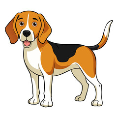 Beagle-Harrier Dog breed vector illustration isolated on white background in cartoon style.
