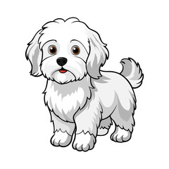Bolognese dog breed vector illustration isolated on white background in cartoon style.