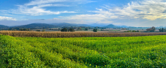 Fototapeta premium Breisgau_6733