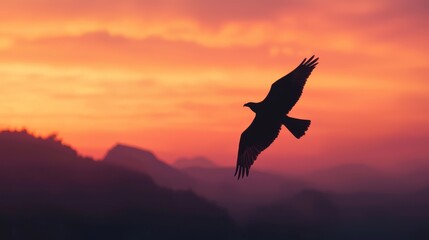 Fototapeta premium Majestic Bird in Flight at Sunset