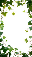 Obraz premium Framed by greenery