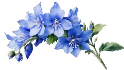 Blue flower. Watercolor hand drawing flora, botanical illustration. Delphinium on isolated white background, Generative AI
