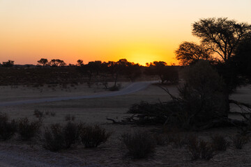 Africa road in the sunset