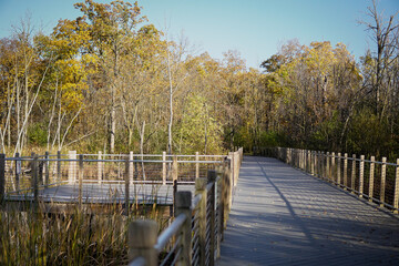Naklejka premium bridge